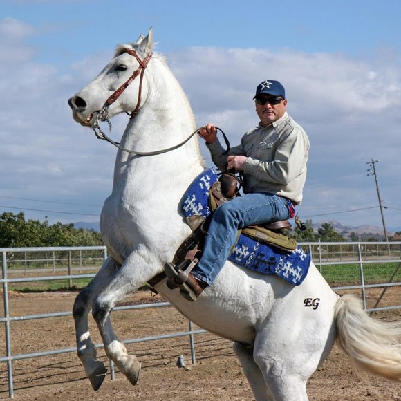 Meet Posher, Estevan - Picture 3 of 5